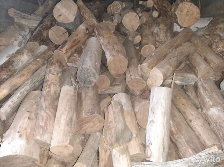 Дрова вяз