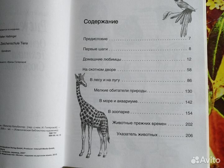 Для начинающих художников
