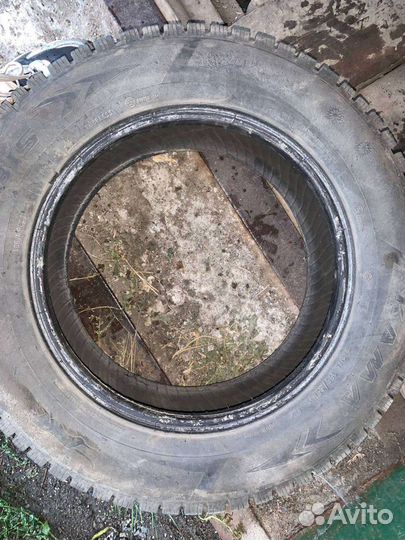 КАМА 505 Irbis 195/65 R15 50J