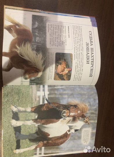 Книга про лошадей