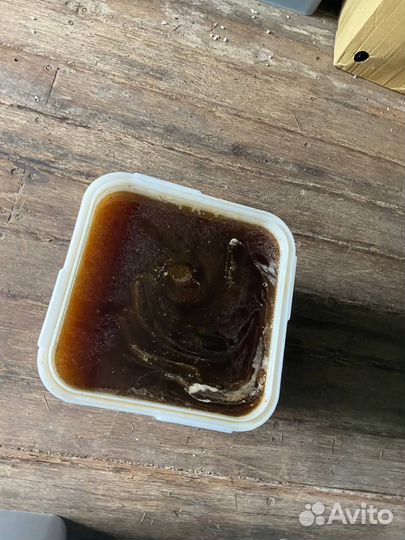 Мед гречиха оптом 2024