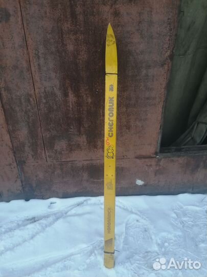 Беговые лыжи