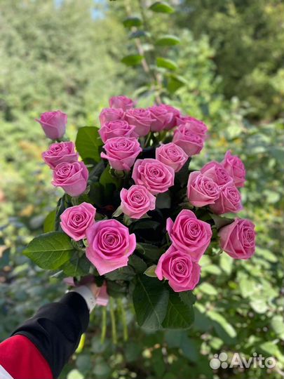 Цветы розы букет