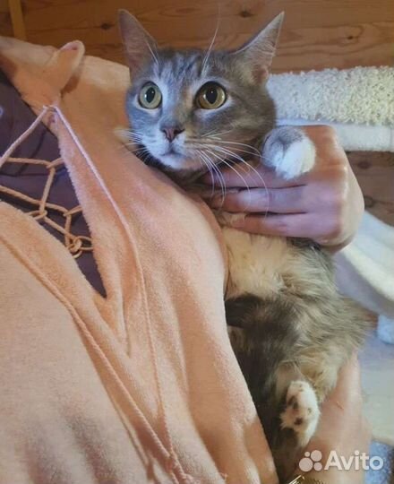 Зося нежность в белых носочках