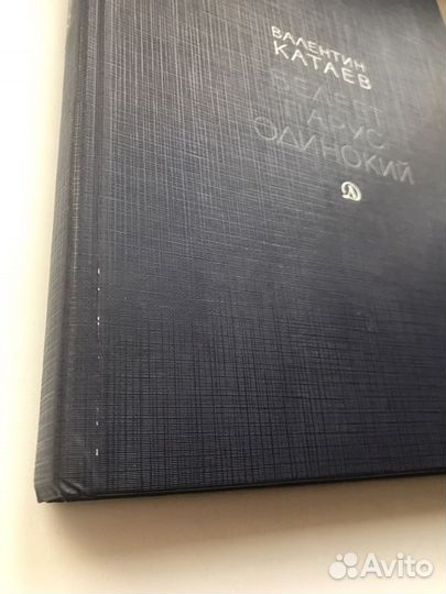 Катаев Валентин «Белеет парус одинокий»