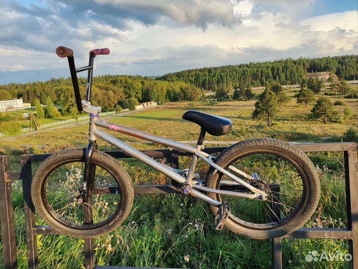 Bmx teach team grasshopper custom