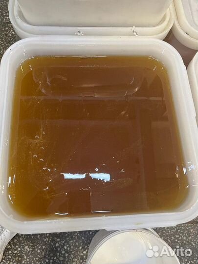 Мед липовый оптом