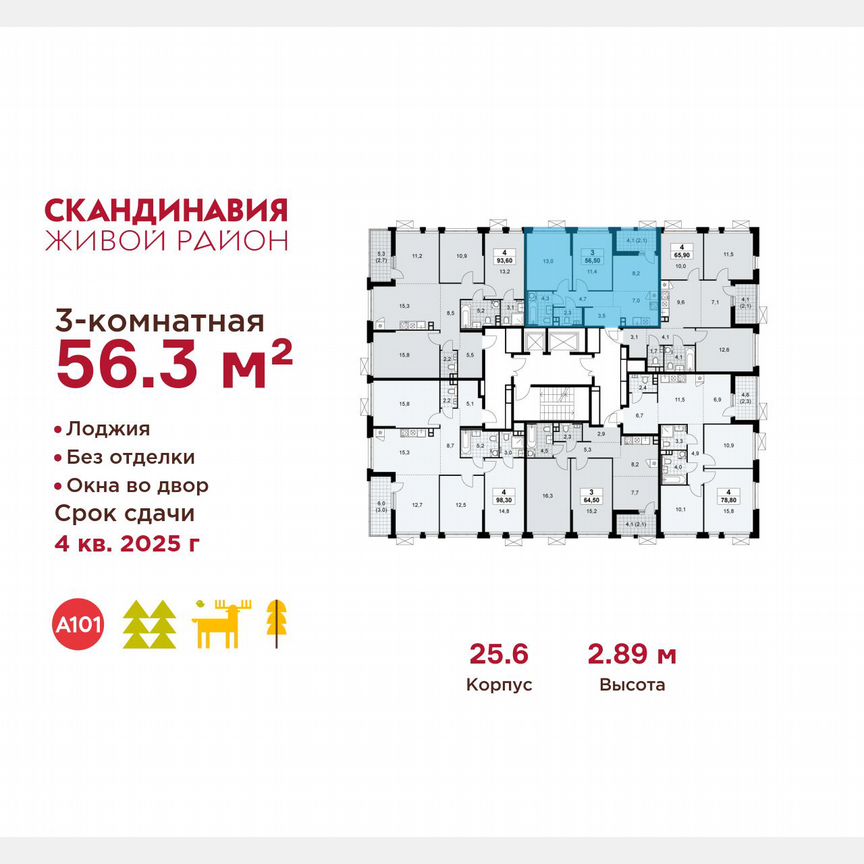 3-к. квартира, 56,3 м², 4/17 эт.