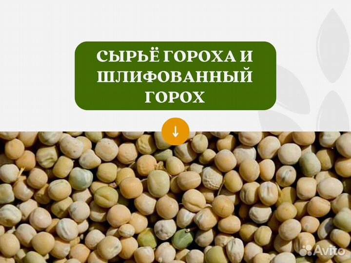Горох с поля (сырье) (кг)