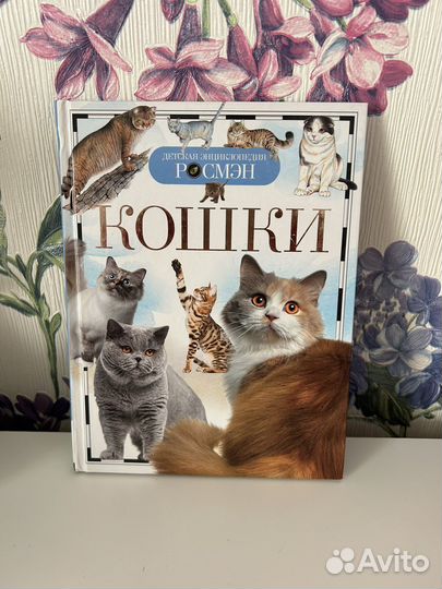 Книги серии «Росмэн»