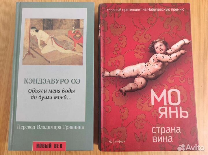 Разные книги. Рушди, Стейнбек, Грасс, Кавабата, Оэ