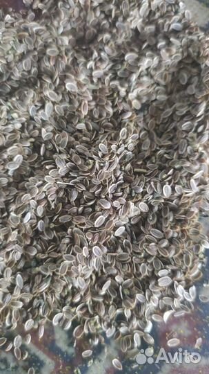 Весовые семена