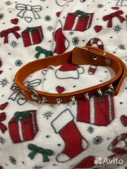 Ошейник для собак