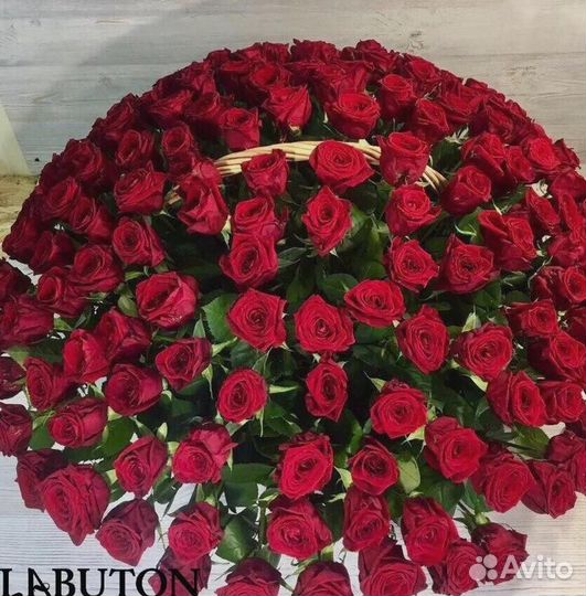 Букет из 101 розы