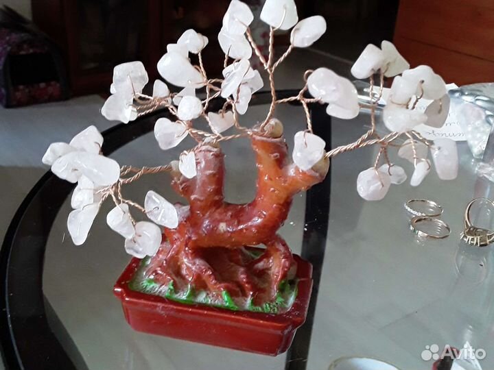 Дерево любви