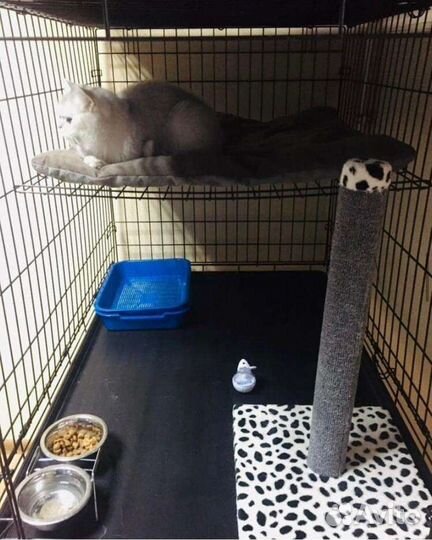 Зоогостиница