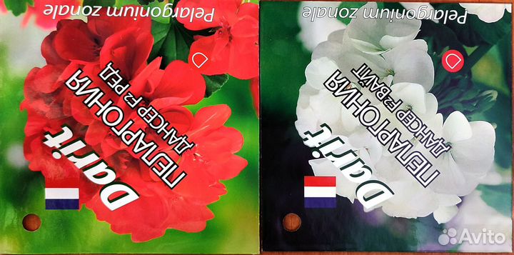 Семена комнатных растений