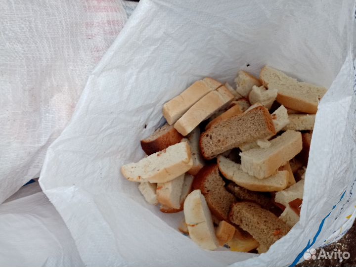 Хлеб для животных