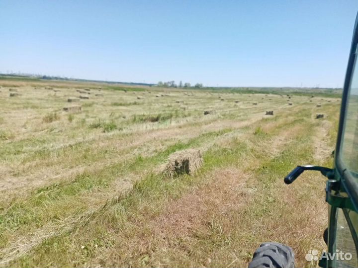 Сено луговое в тюках