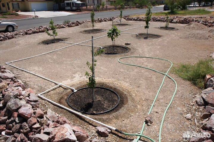 Автополив оборудование надежное и эффективной