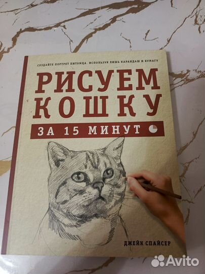 Рисуем кошку за 15 минут Джейк Спайсер