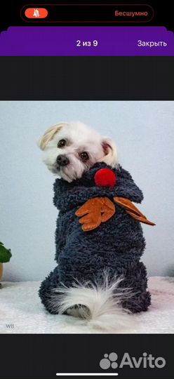 Новогодний комбинезон для собаки, костюм Оленя