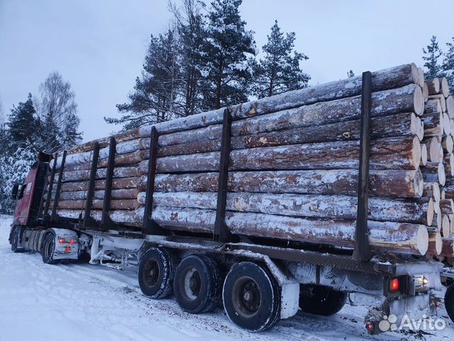 Пиловочник Хвойный Оптом