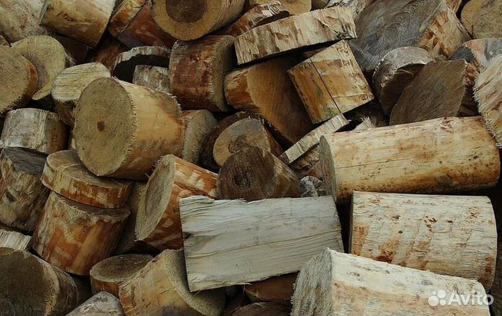 Дрова понимающих