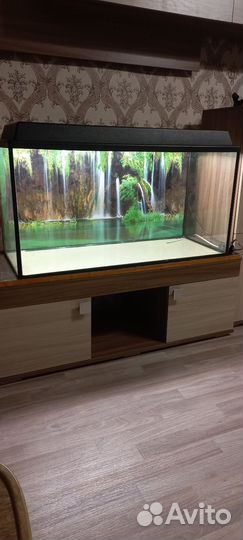 Аквариум