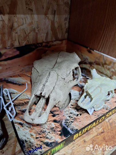 Декорации для террариума и рептилий