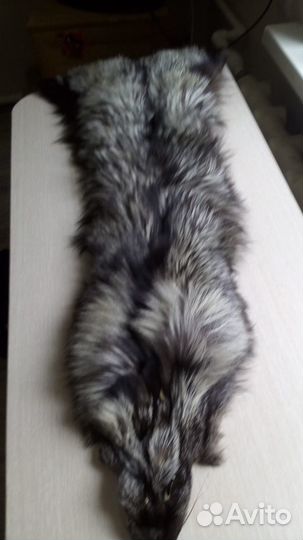 Шкурка животного