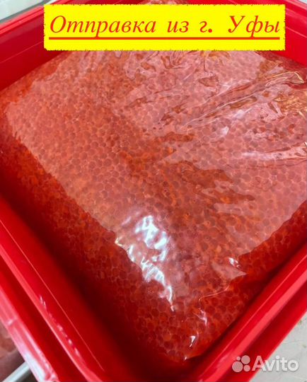 Красная икра оптом