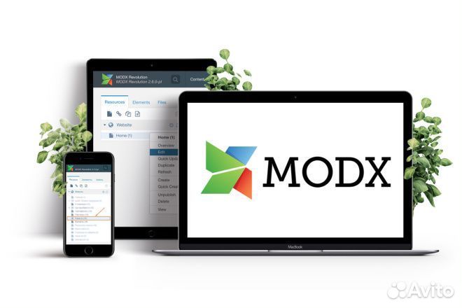 Программист modx. Разработка, доработка, правки