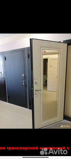 Дверь входная с зеркалом