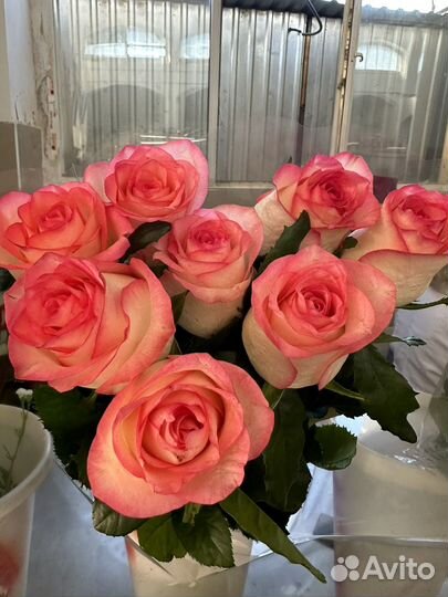 Букет цветов