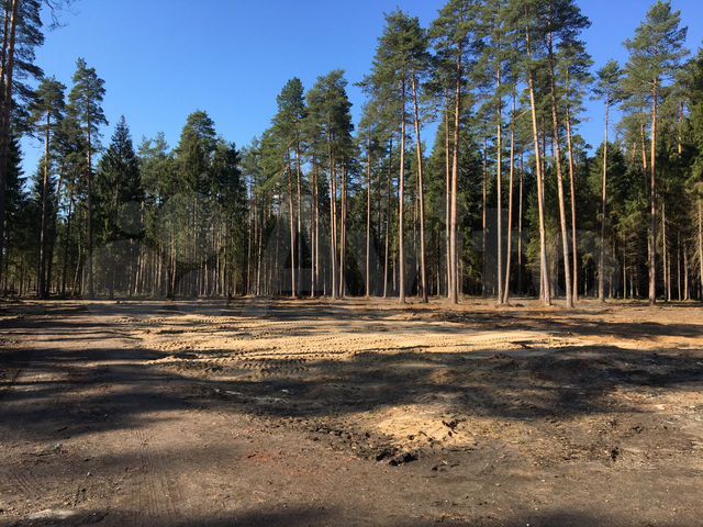 Участок 10 сот. (ИЖС)