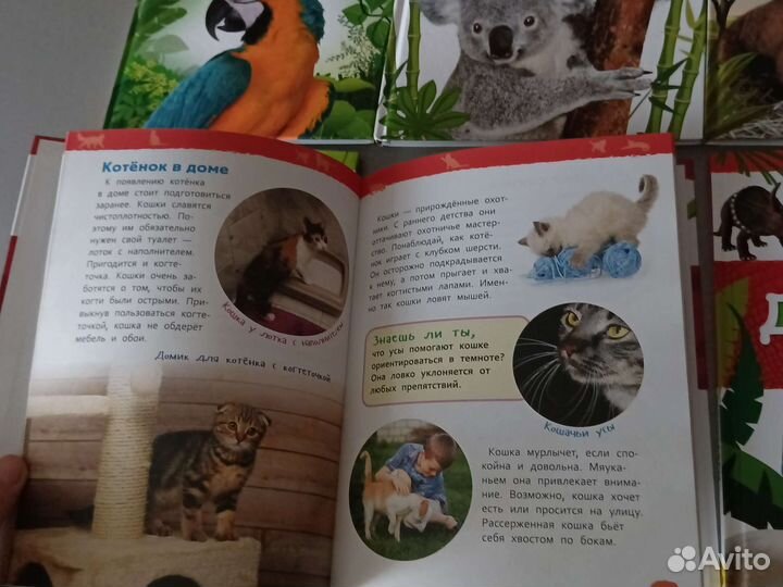 Книги для дошкольников