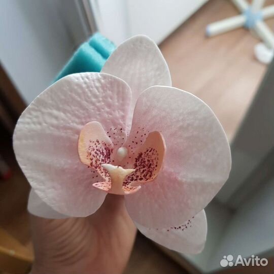 Молд пластиковый орхидея-phalaenopsis