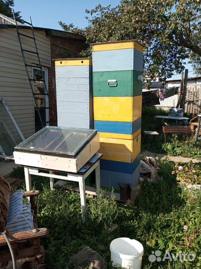 Пчелы бакфаст, улья