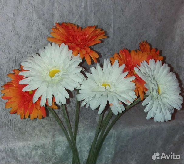 Цветы для интерьера