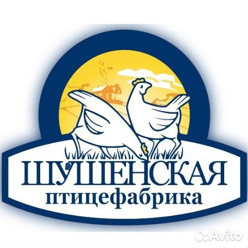 Продавец в продуктовый магазин, с. Ермаковское