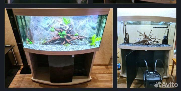 Аквариум