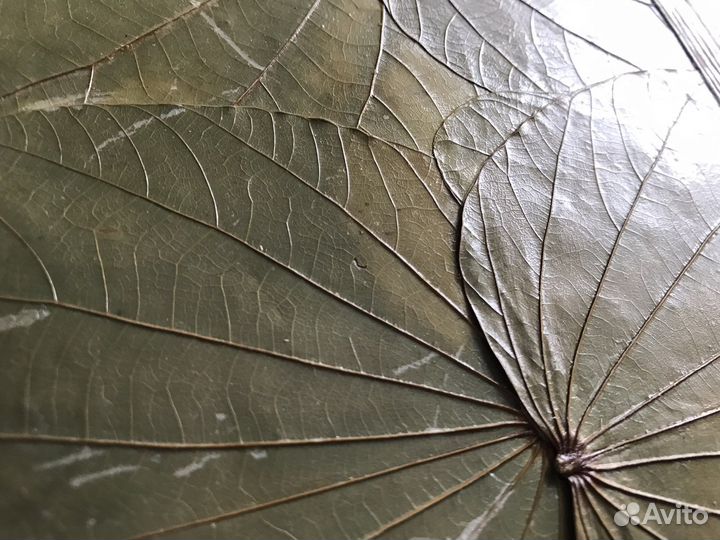 Фотольбом из эко-материалов