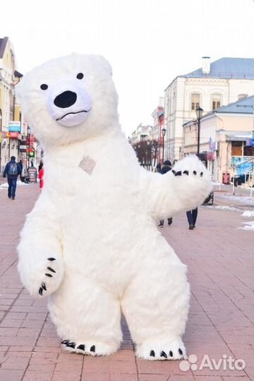 Поздравление белый мишка(медведь)