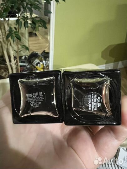 Lacoste pour femme intense