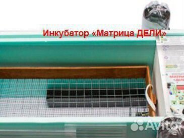 Инкубатор 