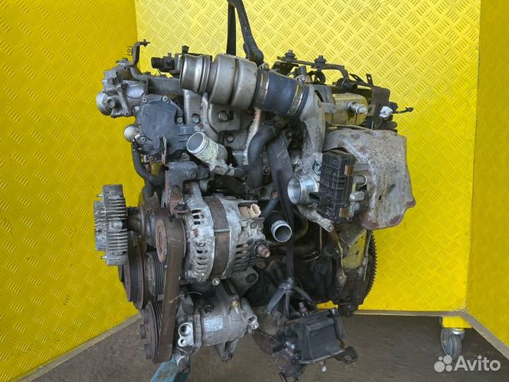 Двигатель, Nissan Navara (D40) 2004-2015 2010