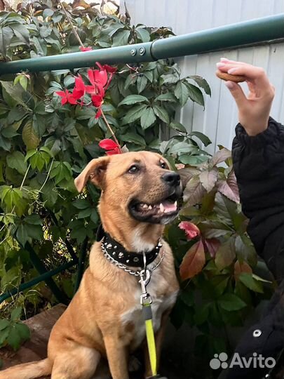 Малыш Кенни