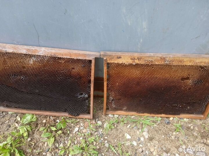 Рамки с вощиной