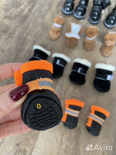 Обувь для собак